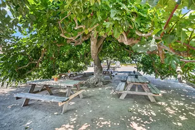 10112 E Woodbridge Road, Acampo, CA 95220 - Photo 43
