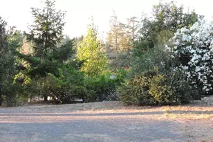 23380 Tokayana Way, Colfax, CA 95713 - Photo 45