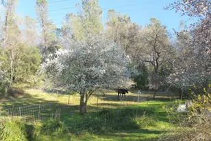 23380 Tokayana Way, Colfax, CA 95713 - Photo 35