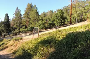 23380 Tokayana Way, Colfax, CA 95713 - Photo 41