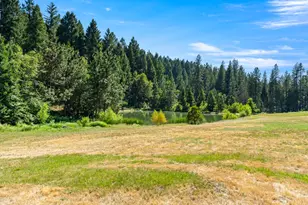 1237 Cable Rd, Camino, CA 95709 - Photo 59