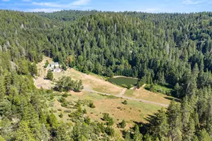 1237 Cable Rd, Camino, CA 95709 - Photo 89