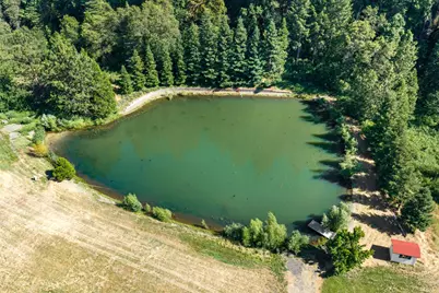 1237 Cable Road, Camino, CA 95709 - Photo 85