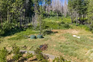 1237 Cable Rd, Camino, CA 95709 - Photo 65