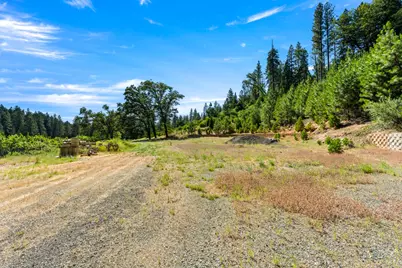 1237 Cable Road, Camino, CA 95709 - Photo 77