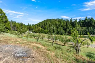 1237 Cable Rd, Camino, CA 95709 - Photo 63
