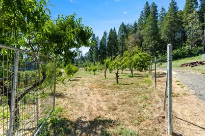 1237 Cable Road, Camino, CA 95709 - Photo 57
