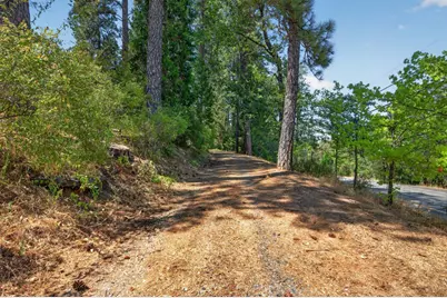 1007 Sage Road, Colfax, CA 95713 - Photo 45