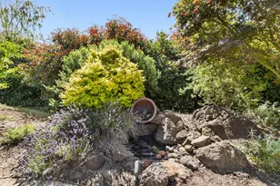 4150 Foxwood Ln, Shingle Springs, CA 95682 - Photo 71