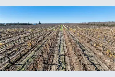 2521 Coelho Road, Manteca, CA 95336 - Photo 13