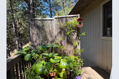 424 Catskill Drive, Colfax, CA 95713 - Photo 25