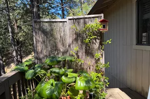 424 Catskill Dr, Colfax, CA 95713 - Photo 25