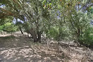 1725 Le Bec Ct, Lodi, CA 95240 - Photo 47