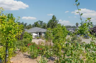 705 Kristi Ct, Jackson, CA 95642 - Photo 53