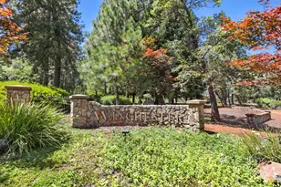 1119 Holly Leaf Ln, Meadow Vista, CA 95722 - Photo 49