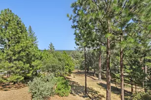 1119 Holly Leaf Ln, Meadow Vista, CA 95722 - Photo 53