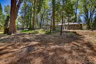 13316 Banner Lava Cap Rd, Nevada City, CA 95959 - Photo 61