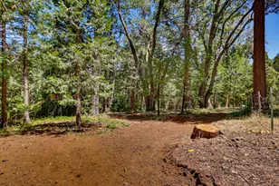 13316 Banner Lava Cap Rd, Nevada City, CA 95959 - Photo 59