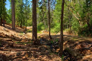14334 Oregon Peak Rd, Dobbins, CA 95935 - Photo 35
