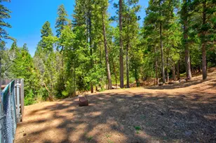 14334 Oregon Peak Rd, Dobbins, CA 95935 - Photo 31