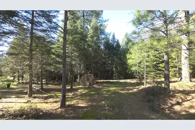 14163 Jokers Wild Lane, Grass Valley, CA 95945 - Photo 13