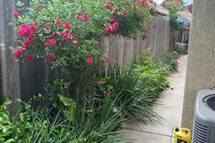 5819 Thoroughbred Dr, Riverbank, CA 95367 - Photo 17