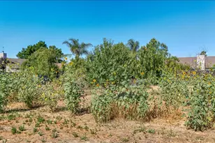28937 Upper Rd, Newman, CA 95360 - Photo 43