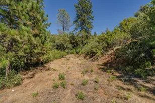 6240 Michel Rd, Mountain Ranch, CA 95246 - Photo 63