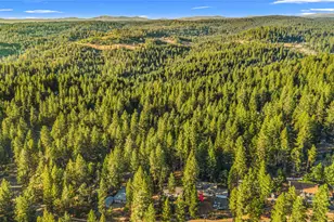 5603 Sierra Springs Dr, Pollock Pines, CA 95726 - Photo 41