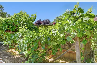 4011 El Macero Drive, Davis, CA 95618 - Photo 47