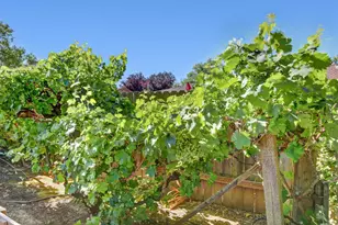 4011 El Macero Dr, Davis, CA 95618 - Photo 47