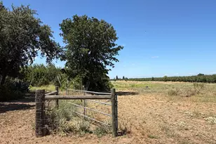 6593 Marine Ave, Arbuckle, CA 95912 - Photo 11