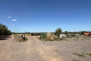 6593 Marine Ave, Arbuckle, CA 95912 - Photo 45