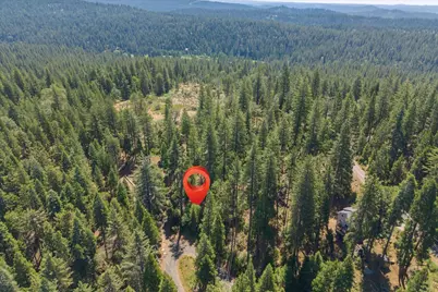 794 Ponderosa Way, Arnold, CA 95223 - Photo 17