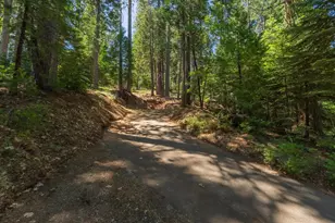 794 Ponderosa Way, Arnold, CA 95223 - Photo 1