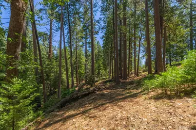 794 Ponderosa Way, Arnold, CA 95223 - Photo 9
