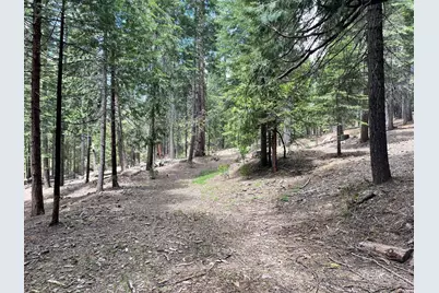 37 Iroquois Drive, Camp Connell, CA 95223 - Photo 1