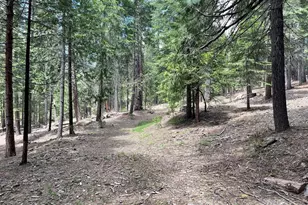 37 Iroquois Dr, Camp Connell, CA 95223 - Photo 1