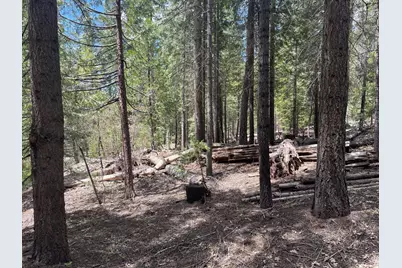 37 Iroquois Drive, Camp Connell, CA 95223 - Photo 9