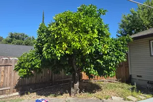 6546 Greencreek Way, Citrus Heights, CA 95621 - Photo 9