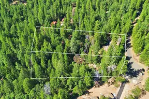 3213 Running Quail Ct, Placerville, CA 95667 - Photo 61