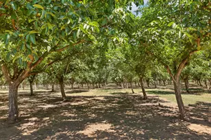 19035 Monte Vista Dr, Linden, CA 95236 - Photo 43