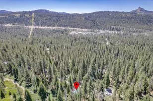 51349 Jeffery Pine, Soda Springs, CA 95728 - Photo 27