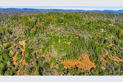 17436 Black Forest Road, Penn Valley, CA 95946 - Photo 3