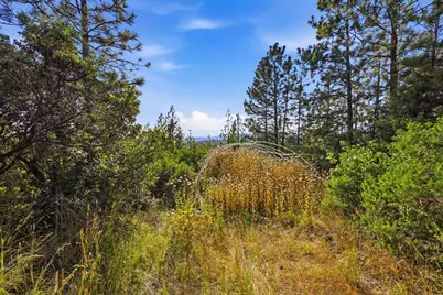 17436 Black Forest Road, Penn Valley, CA 95946 - Photo 13
