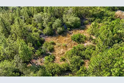 17436 Black Forest Road, Penn Valley, CA 95946 - Photo 19