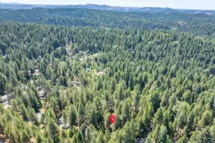 6470 Ridgeway Dr, Pollock Pines, CA 95726 - Photo 53