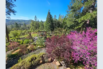 19736 Jesus Maria Road, Mokelumne Hill, CA 95245 - Photo 53