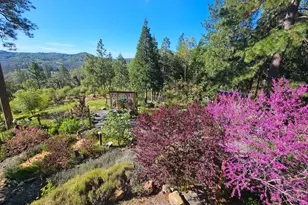 19736 Jesus Maria Rd, Mokelumne Hill, CA 95245 - Photo 53