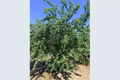 0 Service Road, Ceres, CA 95307 - Photo 3